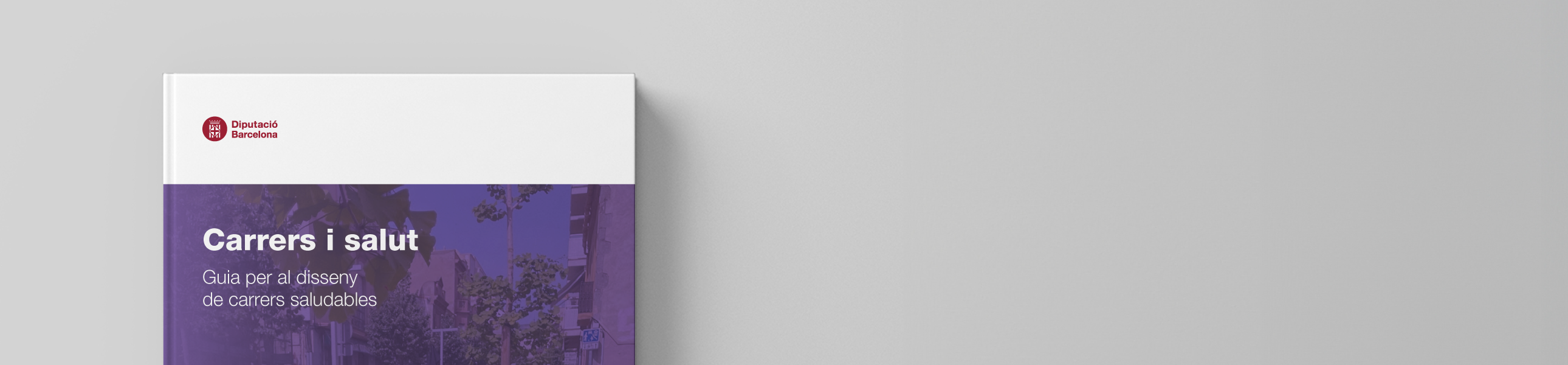 Portada publicació del Parlem de...