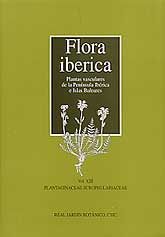 FLORA IBÉRICA. PLANTAS VASCULARES DE LA PENINSULA IBÉRICA E ISLAS BALEARES: PLANTAGINACEAE-SCROPHULARIACEAE