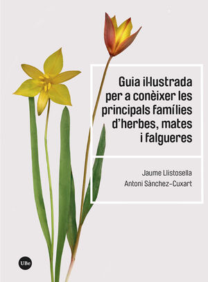 Guia il·lustrada per a conèixer les principals famílies d herbes, mates i falgueres