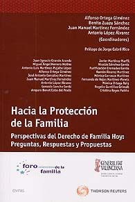 HACIA LA PROTECCIÓN DE LA FAMILIA: PERSPECTIVAS DEL DERECHO DE FAMILIA HOY: PREGUNTAS, RESPUESTAS Y PROPUESTAS