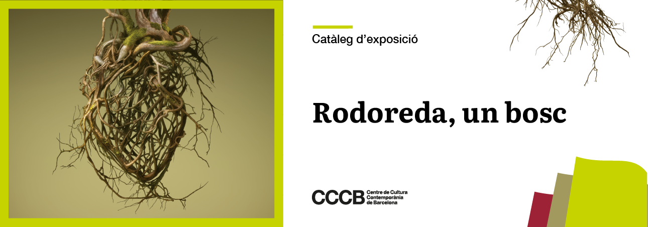 Accés al catàleg del CCCB Rodoreda, un bosc
